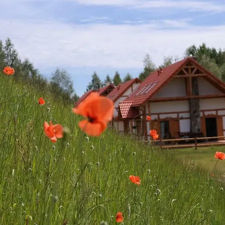度假居 Sielanka Z Sauna Na Kaszubach Barkocin