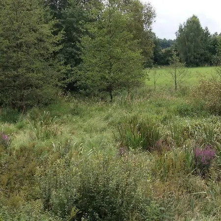 Sielanka Z Sauna Na Kaszubach 度假居