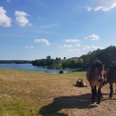 Sielanka Z Sauna Na Kaszubach * Barkocin